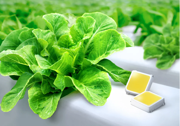 Samsung LM301H vs. LM301B - the best LED chips for plant lig